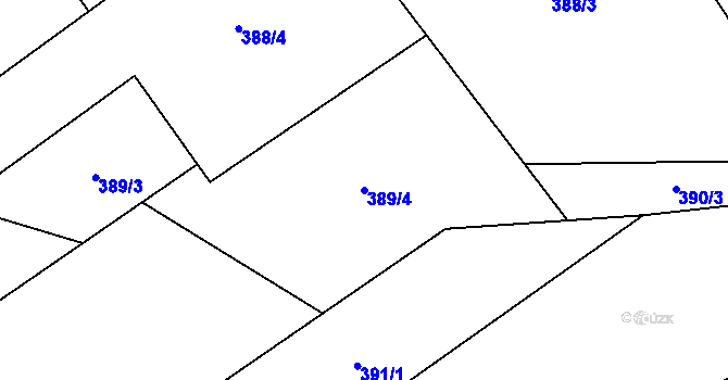 Parcela st. 389/4 v KÚ Karpentná, Katastrální mapa