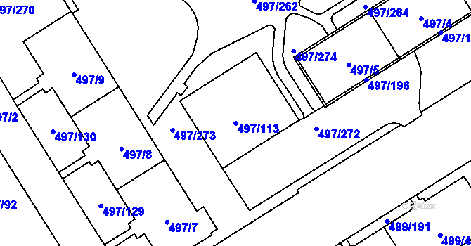 Parcela st. 497/113 v KÚ Ráj, Katastrální mapa