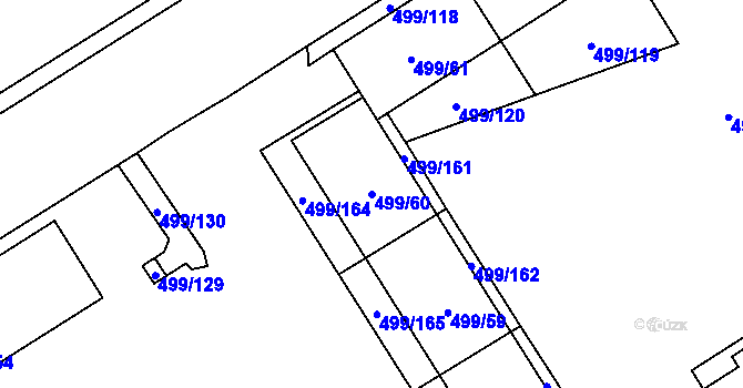 Parcela st. 499/60 v KÚ Ráj, Katastrální mapa