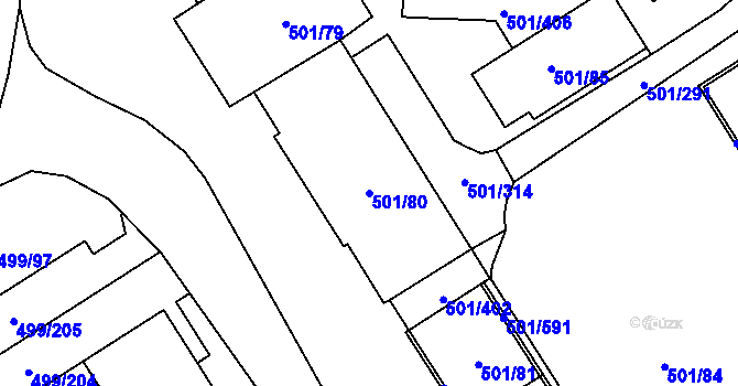 Parcela st. 501/80 v KÚ Ráj, Katastrální mapa