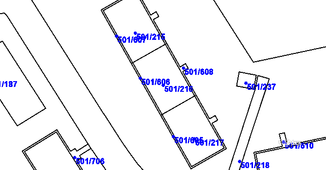 Parcela st. 501/216 v KÚ Ráj, Katastrální mapa
