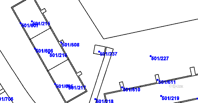 Parcela st. 501/237 v KÚ Ráj, Katastrální mapa