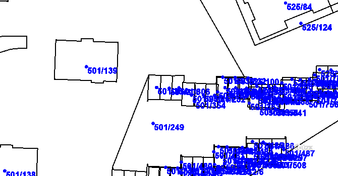 Parcela st. 501/305 v KÚ Ráj, Katastrální mapa
