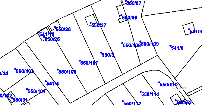 Parcela st. 550/3 v KÚ Ráj, Katastrální mapa