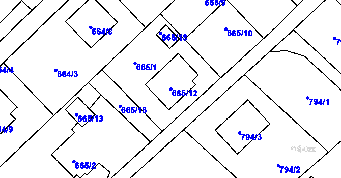 Parcela st. 665/12 v KÚ Ráj, Katastrální mapa