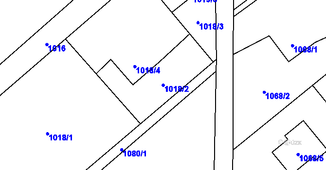 Parcela st. 1018/2 v KÚ Ráj, Katastrální mapa