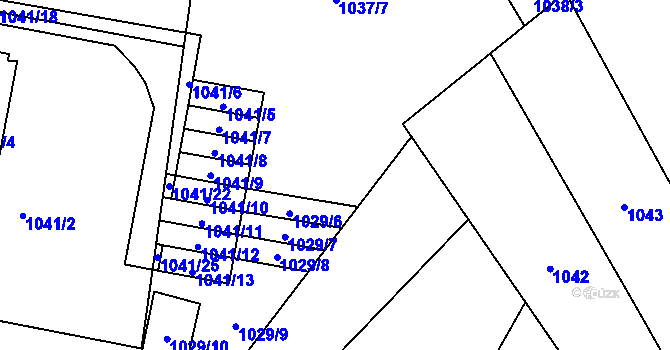 Parcela st. 1029/4 v KÚ Ráj, Katastrální mapa