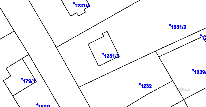Parcela st. 1231/3 v KÚ Ráj, Katastrální mapa