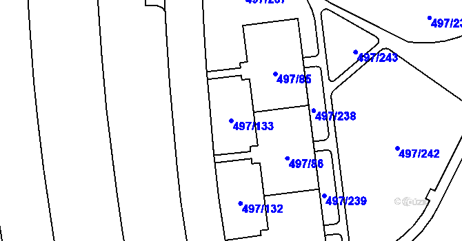 Parcela st. 497/133 v KÚ Ráj, Katastrální mapa