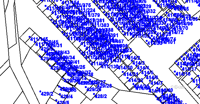 Parcela st. 411/431 v KÚ Ráj, Katastrální mapa