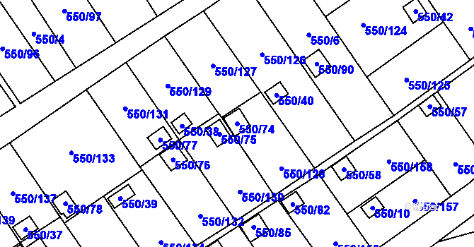 Parcela st. 550/74 v KÚ Ráj, Katastrální mapa