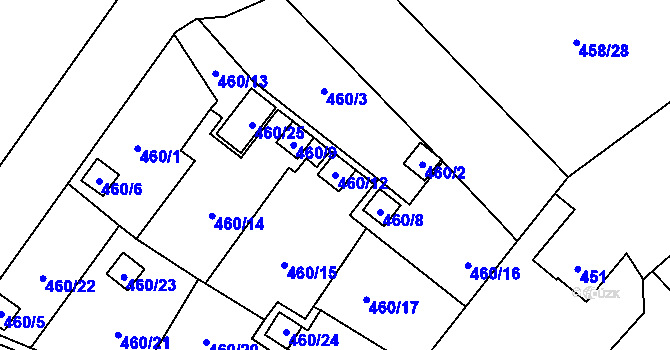 Parcela st. 460/12 v KÚ Ráj, Katastrální mapa