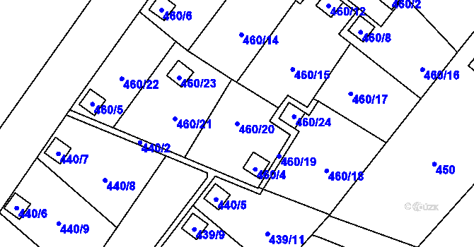 Parcela st. 460/20 v KÚ Ráj, Katastrální mapa