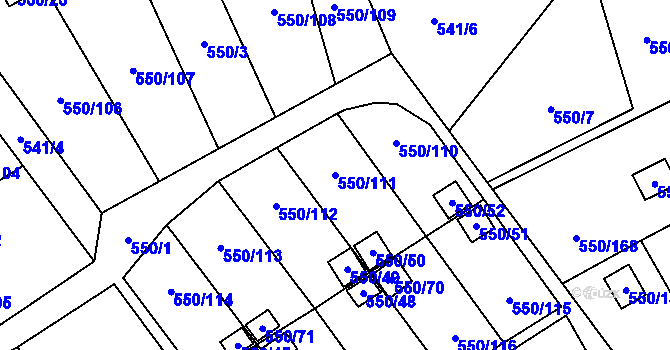 Parcela st. 550/111 v KÚ Ráj, Katastrální mapa