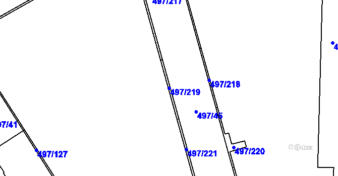 Parcela st. 497/219 v KÚ Ráj, Katastrální mapa