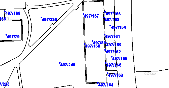 Parcela st. 497/160 v KÚ Ráj, Katastrální mapa