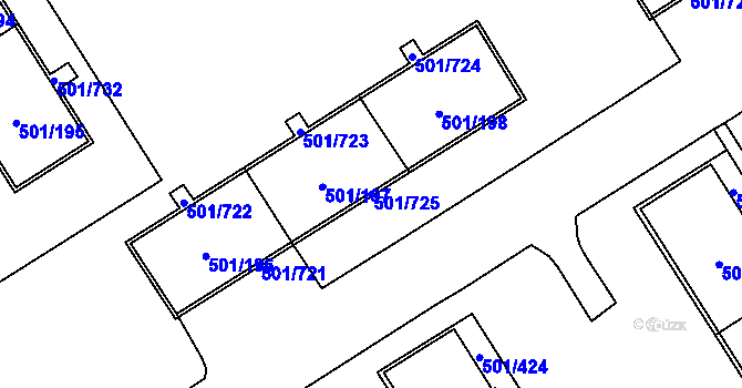 Parcela st. 501/725 v KÚ Ráj, Katastrální mapa