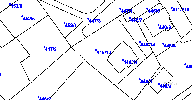 Parcela st. 446/12 v KÚ Ráj, Katastrální mapa