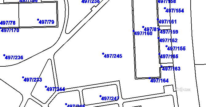 Parcela st. 497/245 v KÚ Ráj, Katastrální mapa