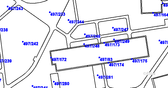 Parcela st. 497/248 v KÚ Ráj, Katastrální mapa