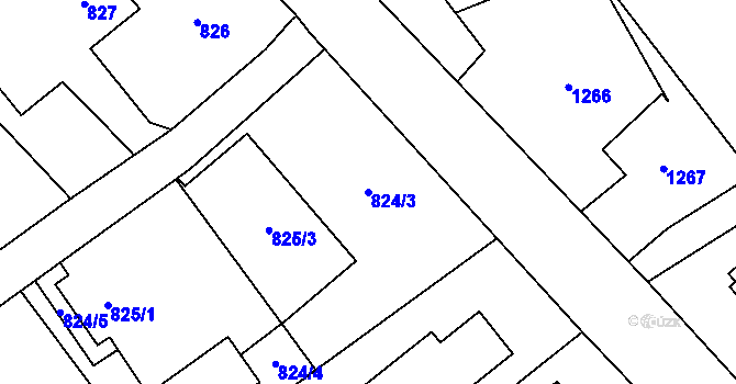 Parcela st. 824/3 v KÚ Ráj, Katastrální mapa