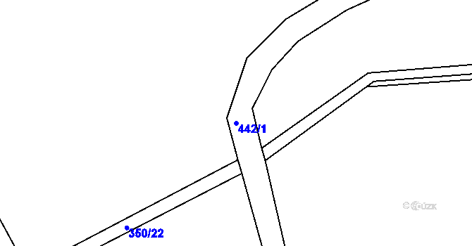 Parcela st. 442/1 v KÚ Kařez, Katastrální mapa