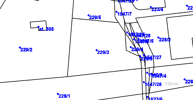Parcela st. 229/3 v KÚ Kasejovice, Katastrální mapa