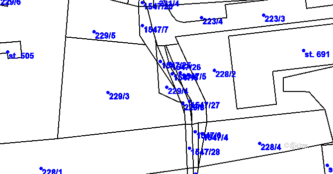 Parcela st. 229/4 v KÚ Kasejovice, Katastrální mapa