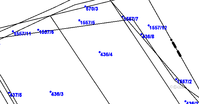 Parcela st. 436/4 v KÚ Kasejovice, Katastrální mapa