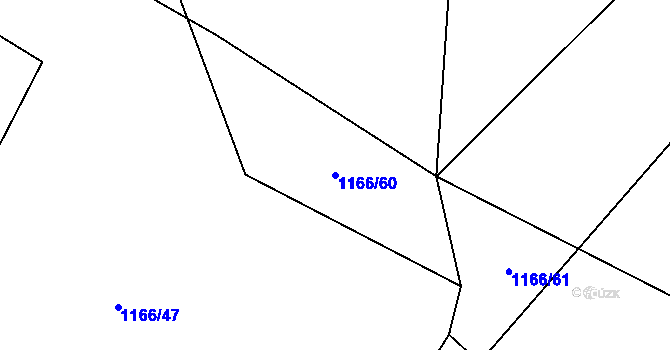 Parcela st. 1166/60 v KÚ Kasejovice, Katastrální mapa