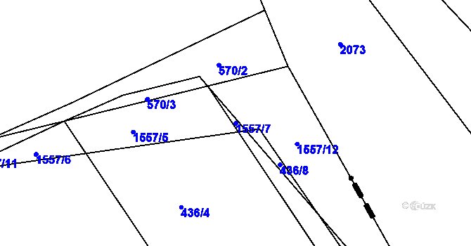 Parcela st. 1557/7 v KÚ Kasejovice, Katastrální mapa