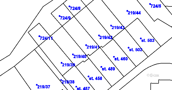 Parcela st. 219/41 v KÚ Kašava, Katastrální mapa