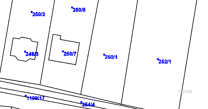 Parcela st. 250/1 v KÚ Kašnice, Katastrální mapa