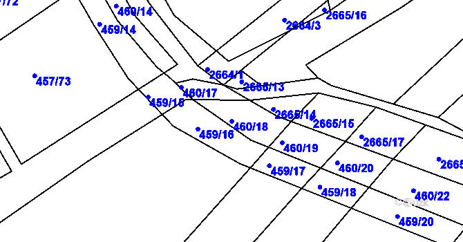 Parcela st. 460/18 v KÚ Kašnice, Katastrální mapa