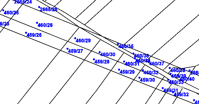Parcela st. 460/30 v KÚ Kašnice, Katastrální mapa