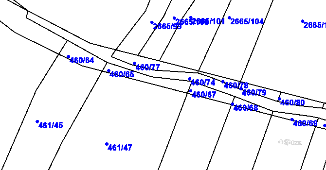 Parcela st. 460/66 v KÚ Kašnice, Katastrální mapa