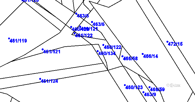 Parcela st. 460/134 v KÚ Kašnice, Katastrální mapa