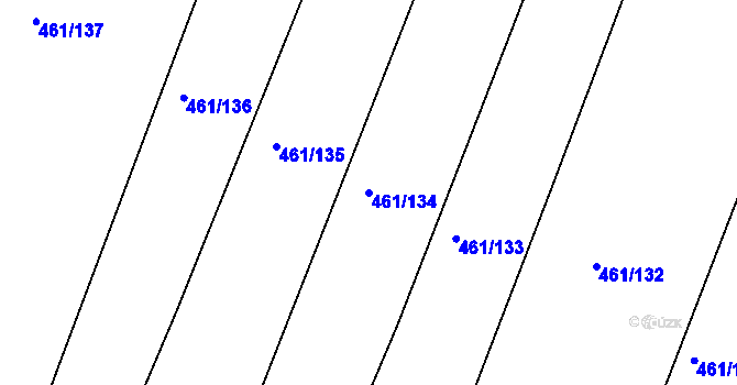 Parcela st. 461/134 v KÚ Kašnice, Katastrální mapa