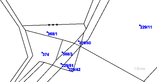 Parcela st. 229/50 v KÚ Kbel u Přeštic, Katastrální mapa