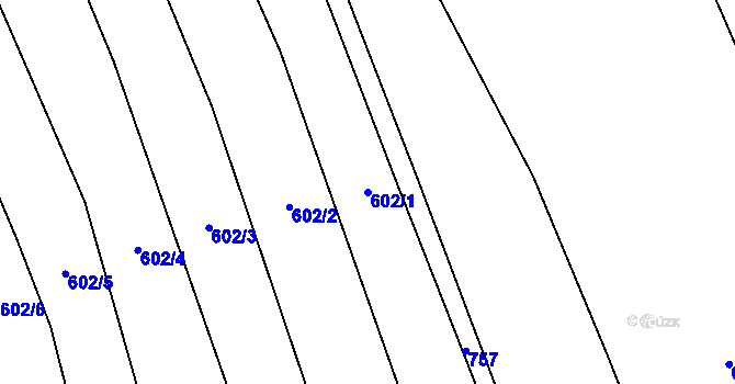 Parcela st. 602/1 v KÚ Malinec, Katastrální mapa