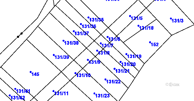 Parcela st. 131/8 v KÚ Malinec, Katastrální mapa