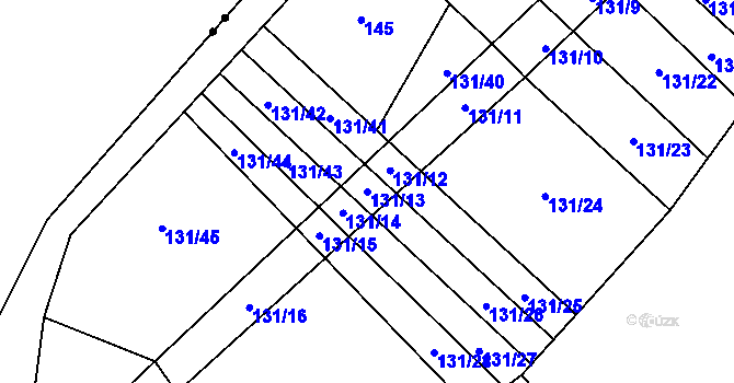 Parcela st. 131/13 v KÚ Malinec, Katastrální mapa