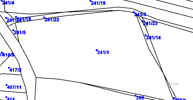 Parcela st. 241/1 v KÚ Malinec, Katastrální mapa