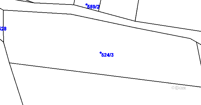 Parcela st. 524/3 v KÚ Kdyně, Katastrální mapa