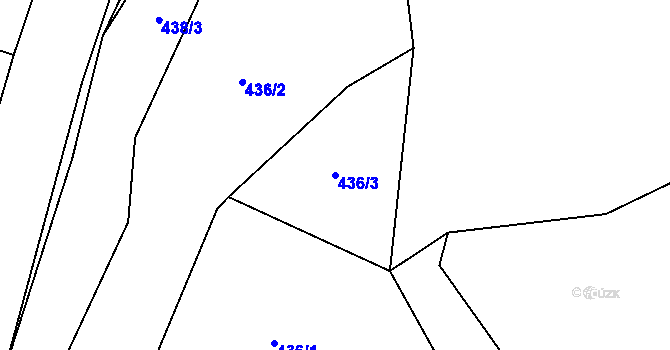 Parcela st. 436/3 v KÚ Kdyně, Katastrální mapa