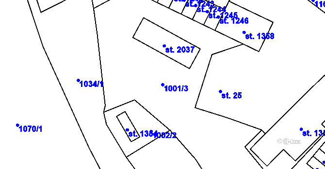 Parcela st. 1001/3 v KÚ Kdyně, Katastrální mapa