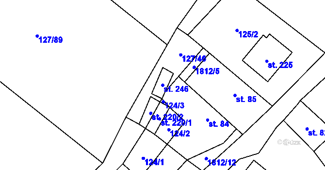 Parcela st. 246 v KÚ Kejžlice, Katastrální mapa