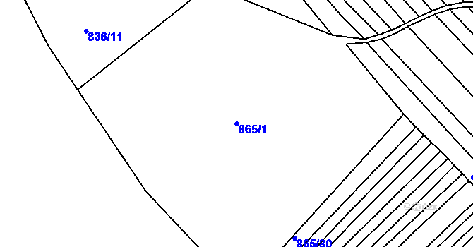 Parcela st. 865/1 v KÚ Ketkovice, Katastrální mapa