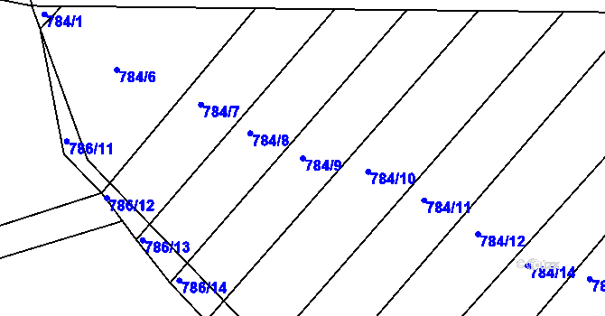 Parcela st. 784/9 v KÚ Ketkovice, Katastrální mapa