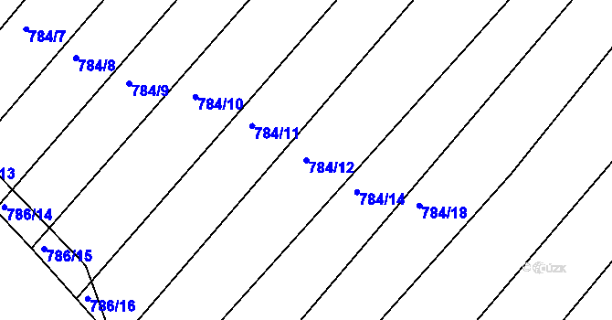 Parcela st. 784/12 v KÚ Ketkovice, Katastrální mapa